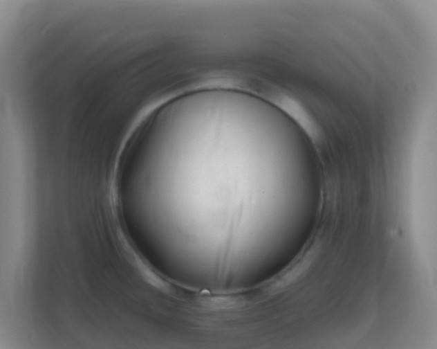 X0000111661436200907241143