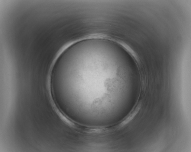X0000111661438200907241143