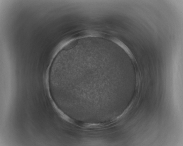 X0000111661439200907241143