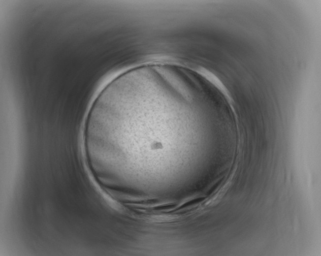 X0000111661440200907241143