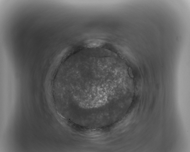 X0000111661441200907241142