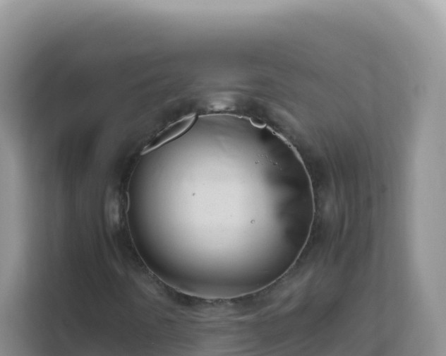 X0000111661442200907241142