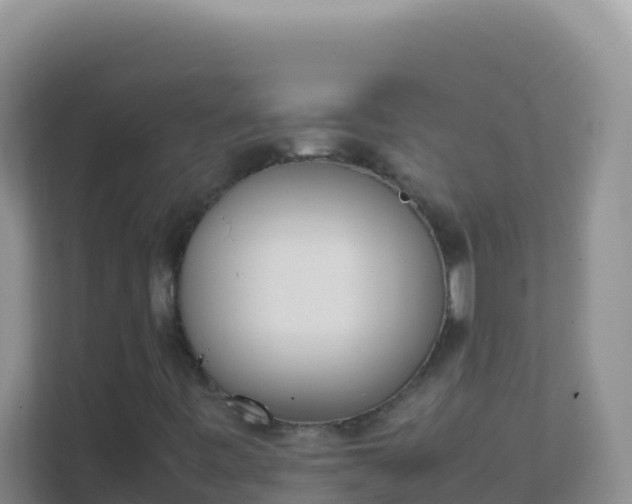 X0000111661443200907241142