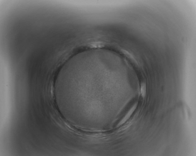 X0000111661444200907241142