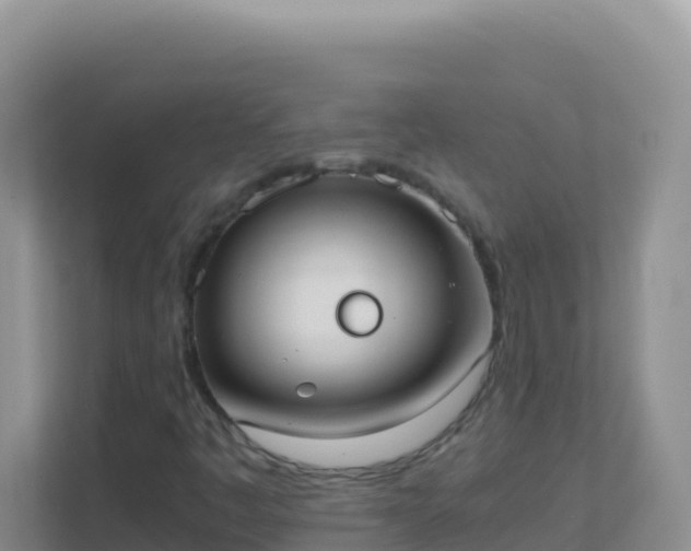 X0000111661445200907241142