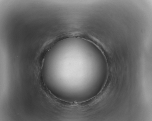 X0000111661447200907241142