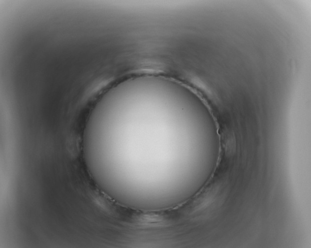 X0000111661448200907241142