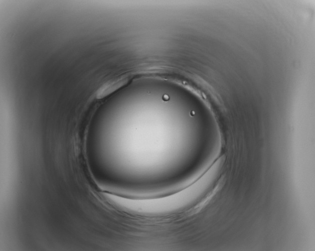 X0000111661449200907241142