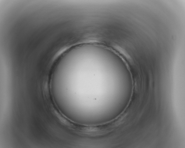 X0000111661452200907241142