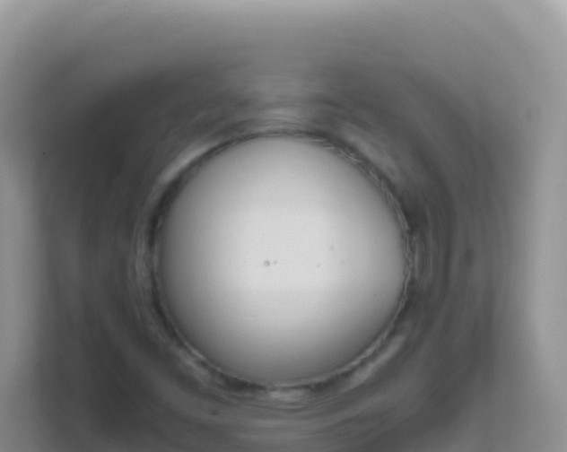 X0000111661453200907241142