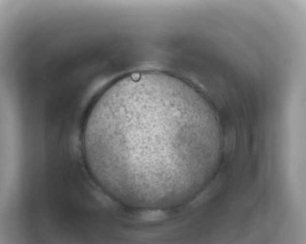X0000111661454200907241142