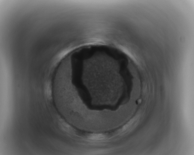 X0000111661455200907241142