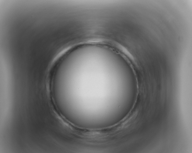 X0000111661456200907241142