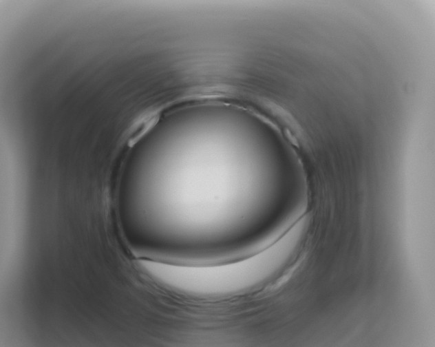 X0000111661457200907241142