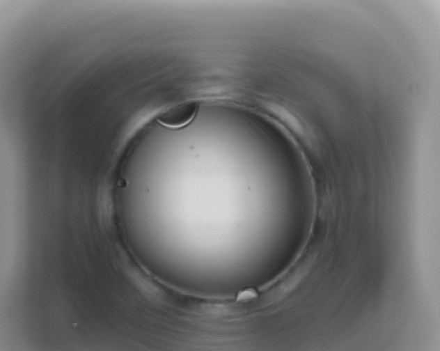X0000111661458200907241142