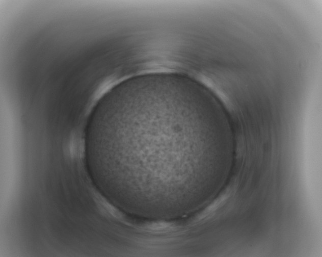 X0000111661459200907241142