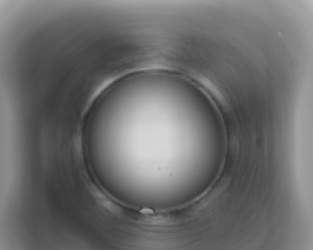 X0000111661460200907241142