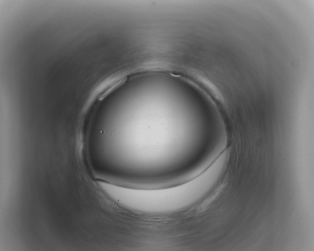 X0000111661461200907241142