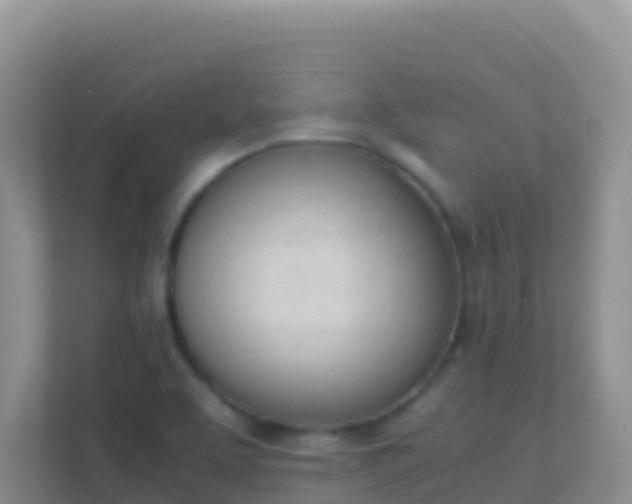 X0000111661463200907241142