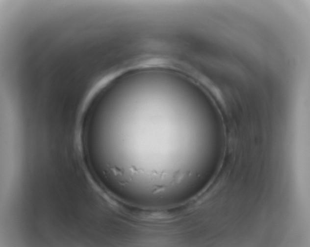 X0000111661464200907241142
