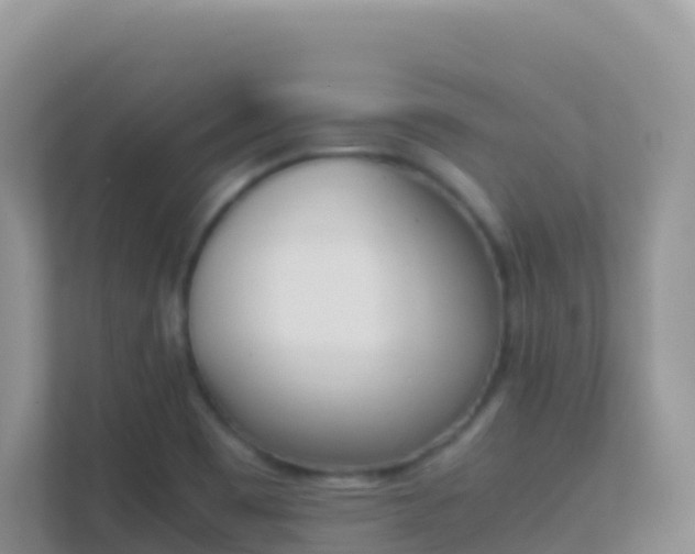 X0000111661465200907241142