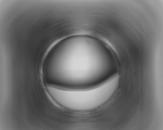 X0000111661468200907241142
