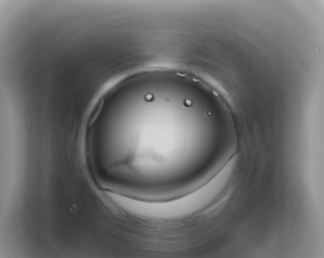 X0000111661469200907241142