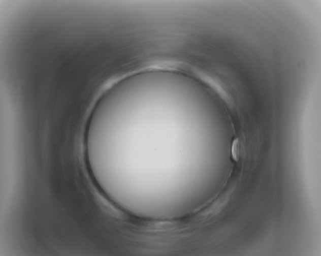 X0000111661471200907241142