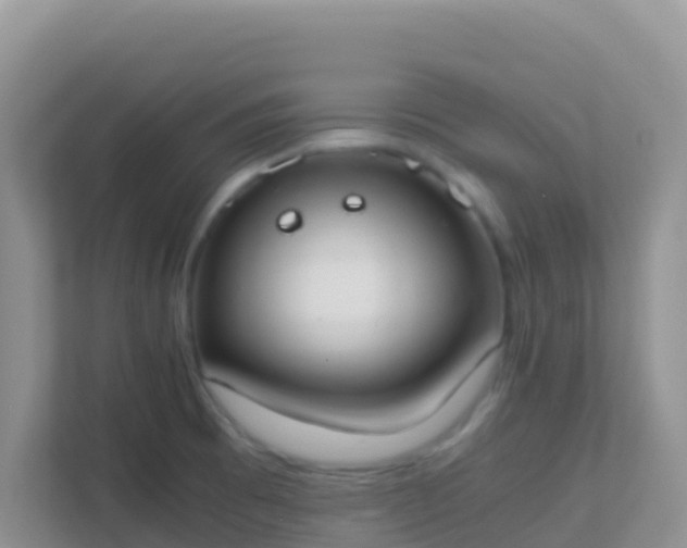 X0000111661473200907241142