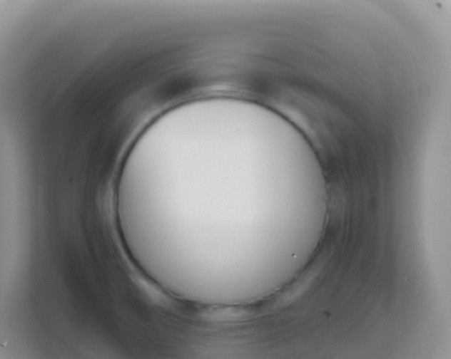 X0000111661474200907241142
