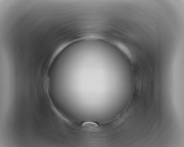 X0000111661476200907241141