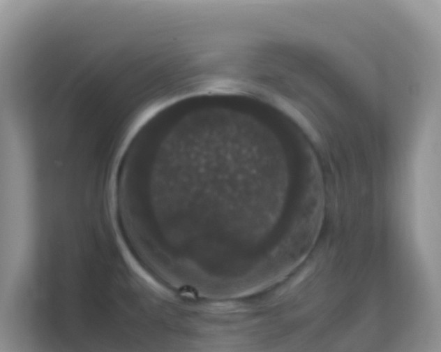 X0000111661479200907241141