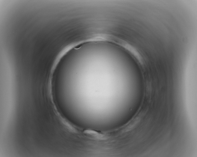 X0000111661480200907241141