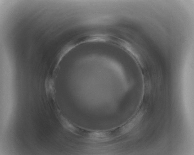 X0000111661481200907241141