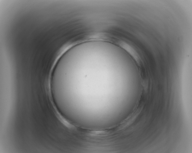 X0000111661482200907241141