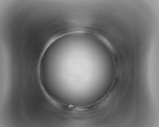 X0000111661483200907241141