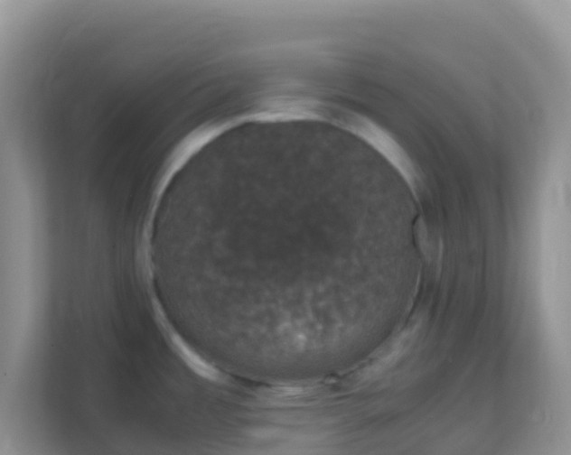 X0000111661485200907241141