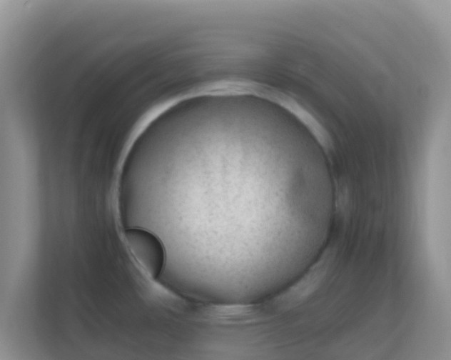 X0000111661486200907241141