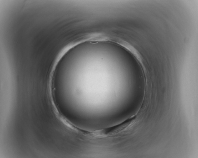 X0000111661488200907241141