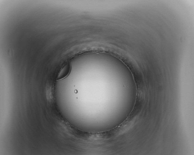 X0000111661490200907241141