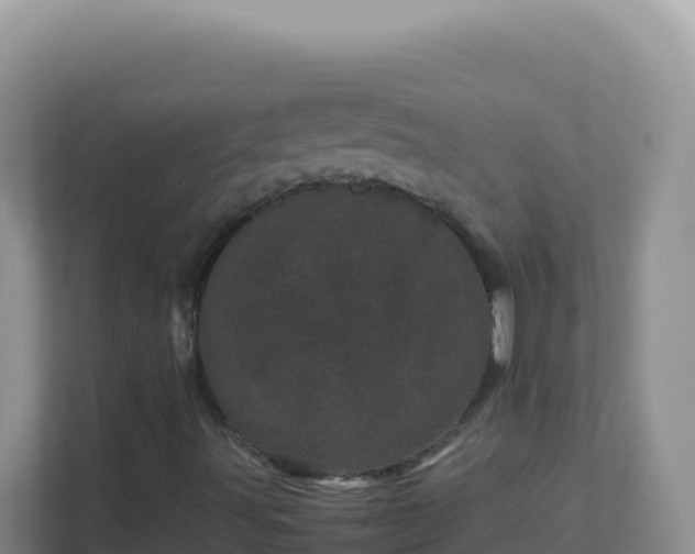 X0000111661491200907241141