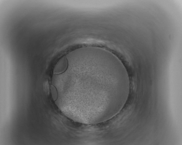 X0000111661493200907241141