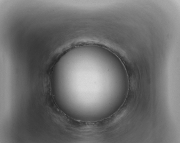 X0000111661494200907241141