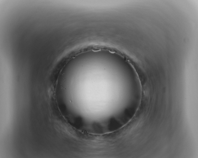 X0000111661495200907241141