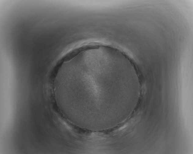 X0000111661496200907241141