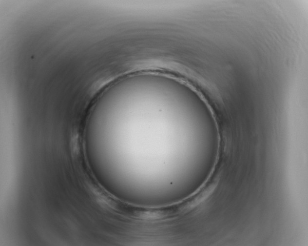 X0000111661497200907241141
