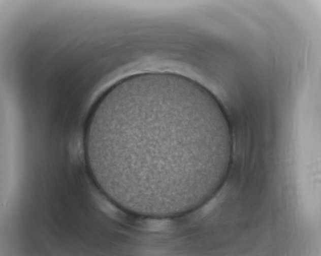 X0000111661498200907241141