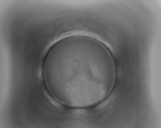 X0000111661499200907241141