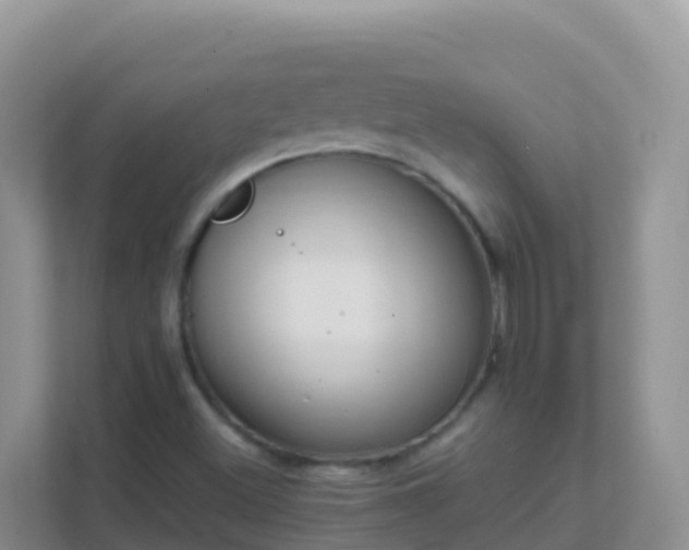 X0000111661500200907241141