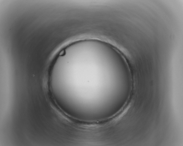 X0000111661502200907241141